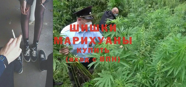 гидра Армянск