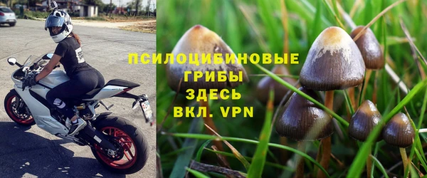 мдпв Арсеньев