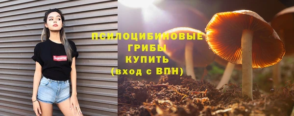 jwh Аркадак