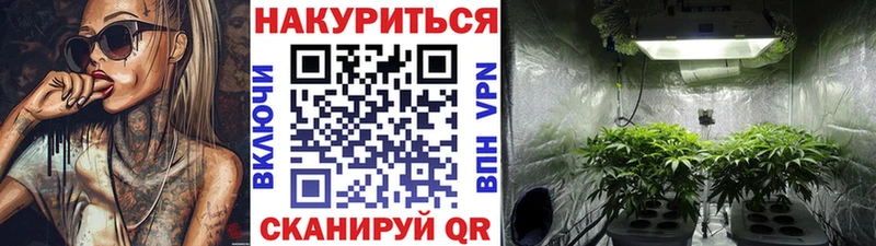 Каннабис Bruce Banner  OMG рабочий сайт  Радужный 